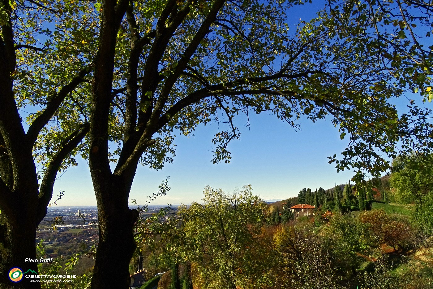 38 Begli scorci sulla via panoramica.JPG -                                